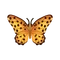 Insect Hyomon