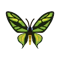 Insect Gokurakuageha