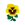 Yellow Pansies.png