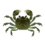 Fish Mokuzugani.png