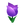 Purple Tulips.png