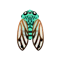 Insect Zammara