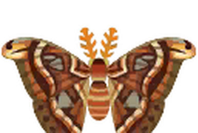Atlas Moth Animal Crossing Pocket Camp Wiki