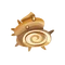 Fg sazae