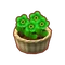 Int 2620 flower3 cmps