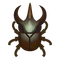 Insect kokbt