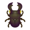 Insect ookwa
