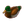 Decoy Duck