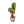 Cacao Tree