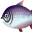 Fish kingsalmon big.png