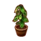 Furniture Pothos