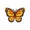 Monarch Butterfly