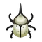 Insect grantshirokbt