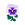 White Pansies.png