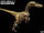 Velociraptor Mongoliensis