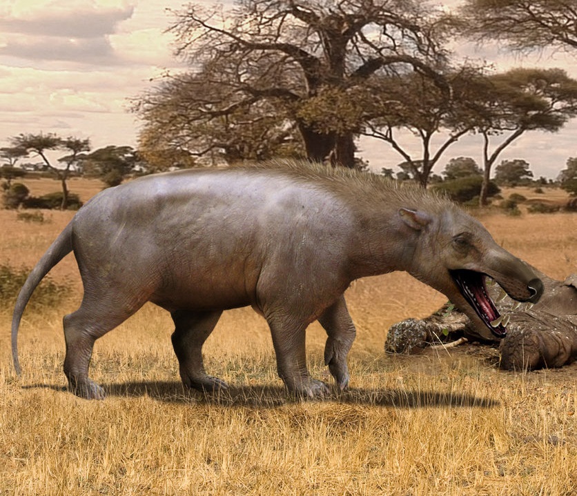 Прогулки с чудовищами. Andrewsarchus mongoliensis. Энтелодонт прогулки с чудовищами. Эндрюсарх прогулки с чудовищами. Копытный Эндрюсарх.