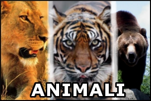 Animali