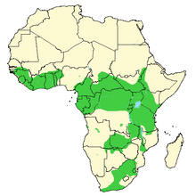 African-Buffalo-Syncerus-caffer-Distribution-map