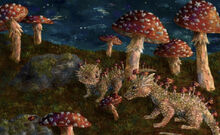 Mushroom dragons