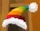 Hedgehog-Hat