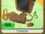 Computer
