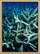 Staghorn Coral.png