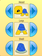 Pet turtle patterns 3