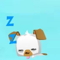 Sleep