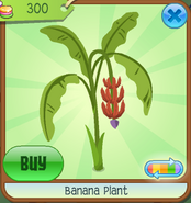 BananaPlant Red(3)