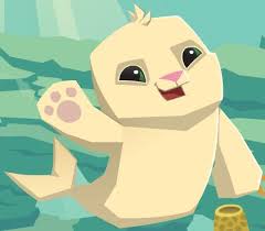 Focas | Wiki Animaljam | Fandom Focas | Wiki Animaljam | Fandom