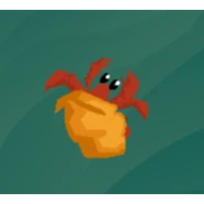 A red hermit crab with an orange shell