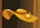 Goldfloppy.png