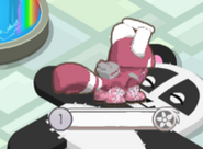 A glitch that happens when this item is worn on a Red Panda
