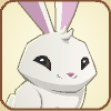 The old bunny icon