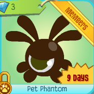 Diamond-Shop Pet-Phantom