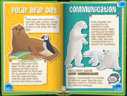 Polar Bearpage5