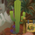 CCCactus.png