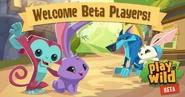 Welcome message to Beta players