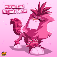 An advertisement for the Magenta Mania collection in The Daily Explorer.