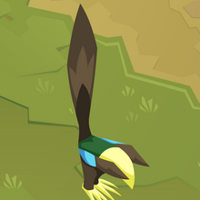 View Birds Of Paradise Animal Jam Journey Book Background