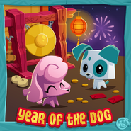 Year of the Dog ad