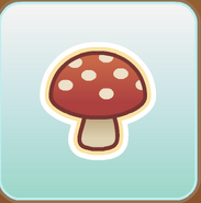 Jag Stamp mushroom