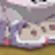 Snow Leopard Slippers Animal Jam Classic Wiki Fandom A lot of jammers ask where they can find snow. snow leopard slippers animal jam