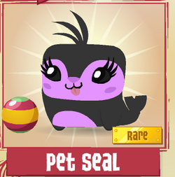 Pet Seal | Animal Jam Classic Wiki | Fandom Pet Seal | Animal Jam Classic Wiki | Fandom