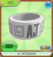 AJ Wristband (7)