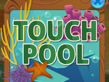 Touch Pool