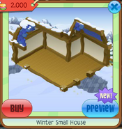 Winter Small House