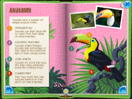 Toucan p 5