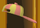 BaseballHatPetFrilledLizard.png