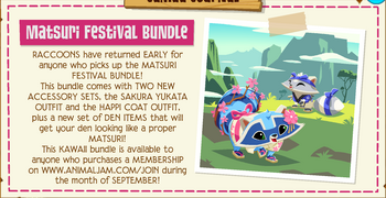 MatsuriFestivalBundleJamaaJournal